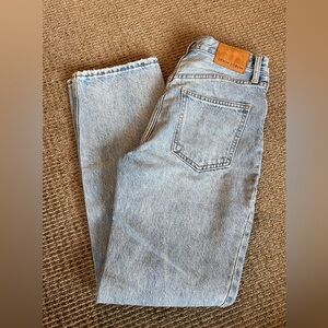 Denim Forum Jeans (Aritzia) The Joni High Rise Loose